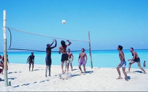 EXPLORACAFE' LOS DELFINES