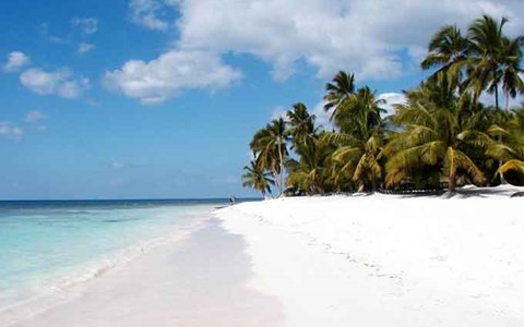 VIVA WYNDHAM DOMINICUS BEACH