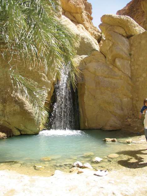 TOUR DELLE OASI DA DJERBA 4/5*, HOTEL VINCCI DJERBA RESORT 4* | Tour della Tunisia