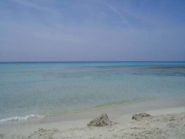 Roulette hotel minorca